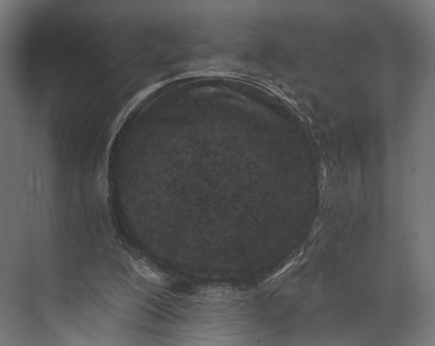 X0000073710200200608241452