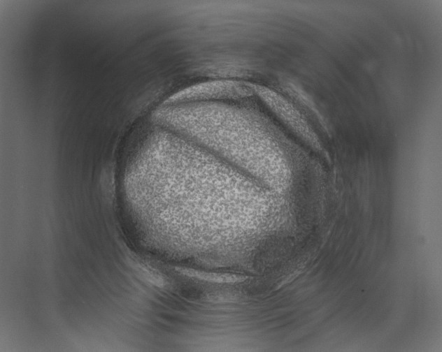 X0000073710202200608241451