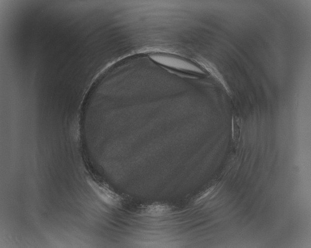 X0000073710204200608241451