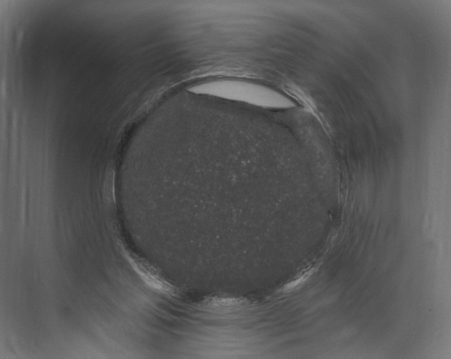 X0000073710205200608241451