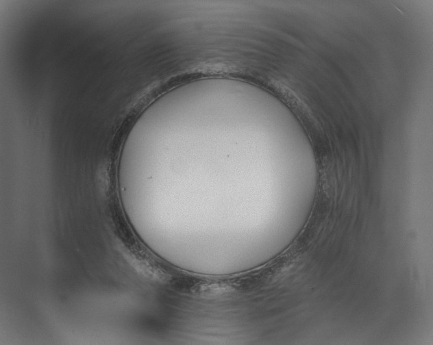 X0000073710208200608241451