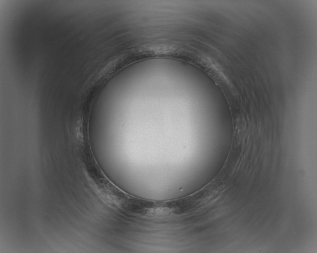 X0000073710212200608241451