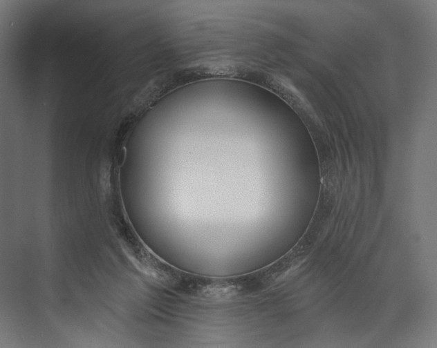 X0000073710213200608241451