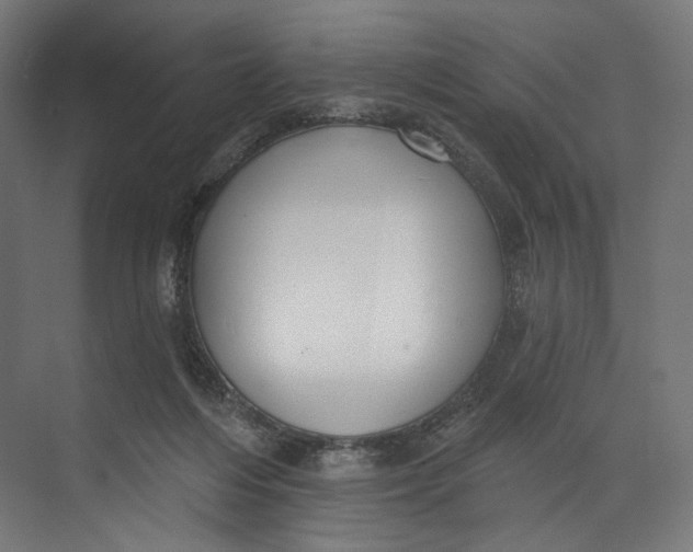 X0000073710216200608241451