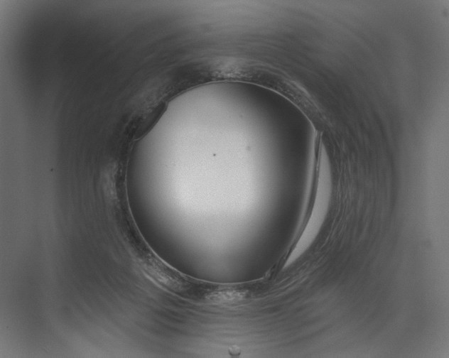 X0000073710217200608241451