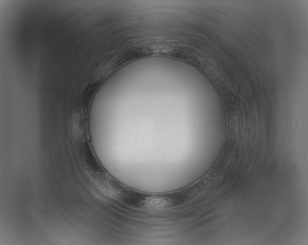 X0000073710218200608241451