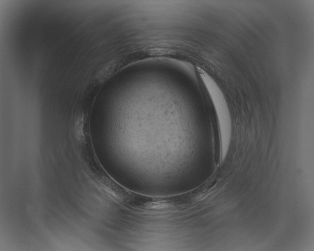 X0000073710219200608241451