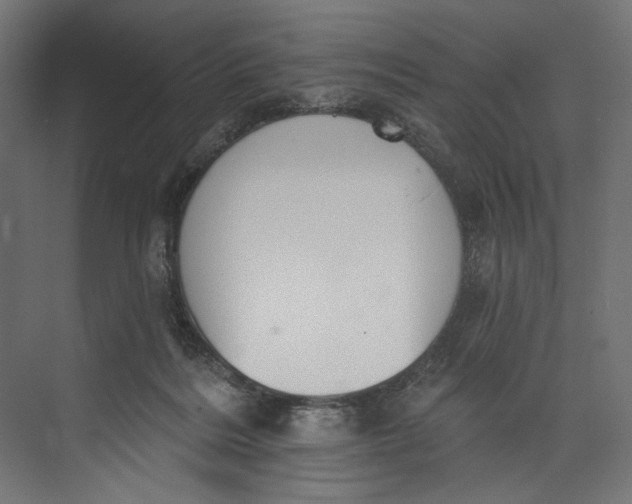 X0000073710220200608241451