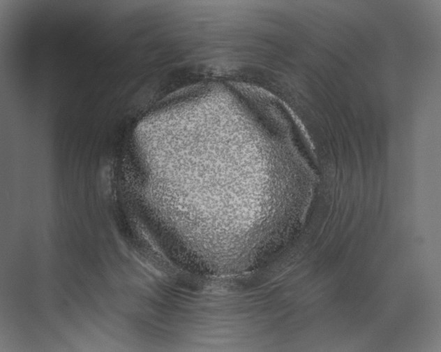 X0000073710222200608241451