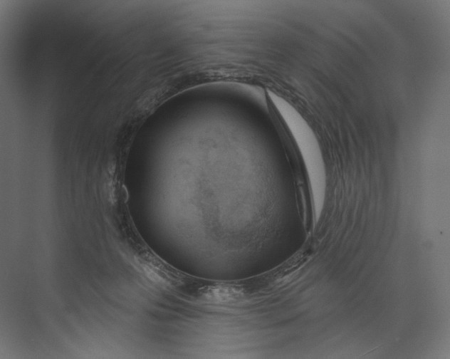 X0000073710223200608241451