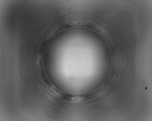 X0000073710225200608241451