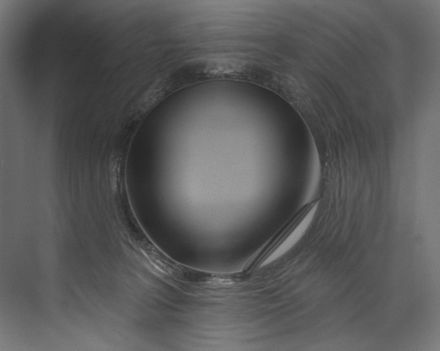 X0000073710227200608241451