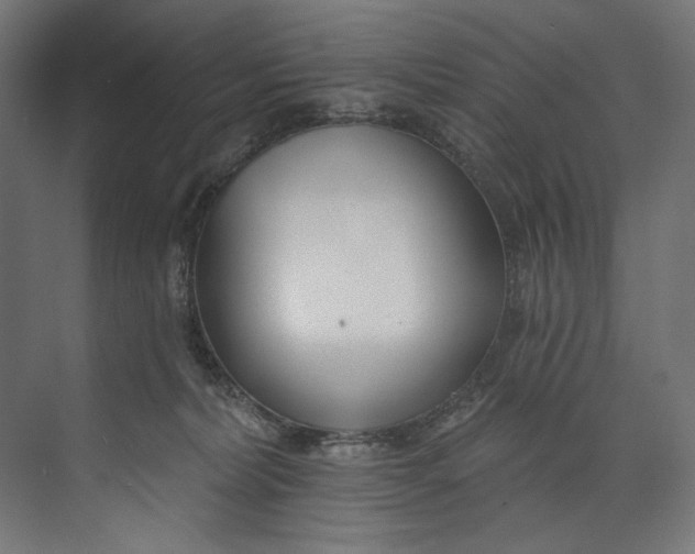 X0000073710228200608241451