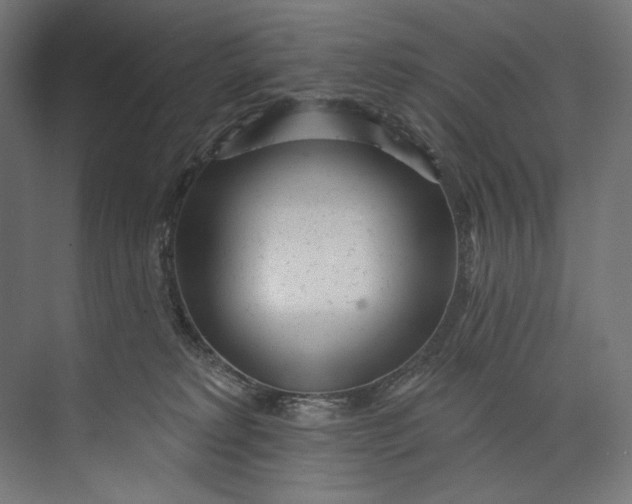 X0000073710229200608241451