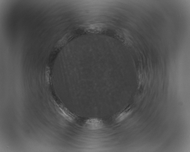 X0000073710231200608241451