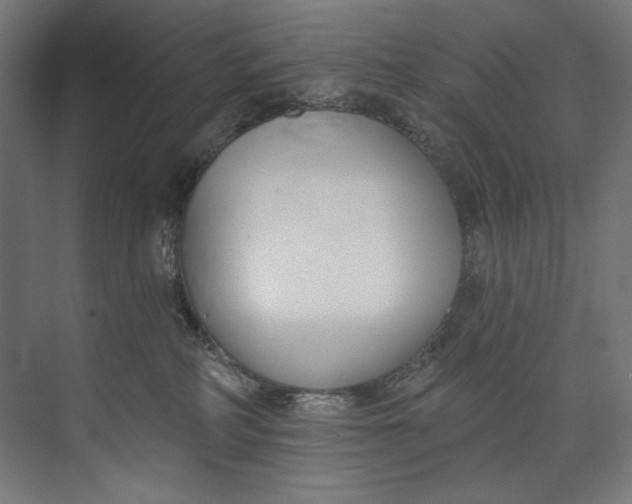 X0000073710234200608241451