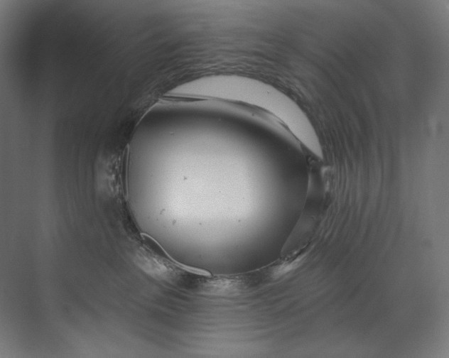 X0000073710237200608241451