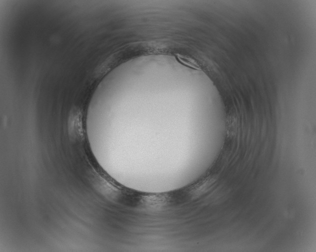 X0000073710238200608241451