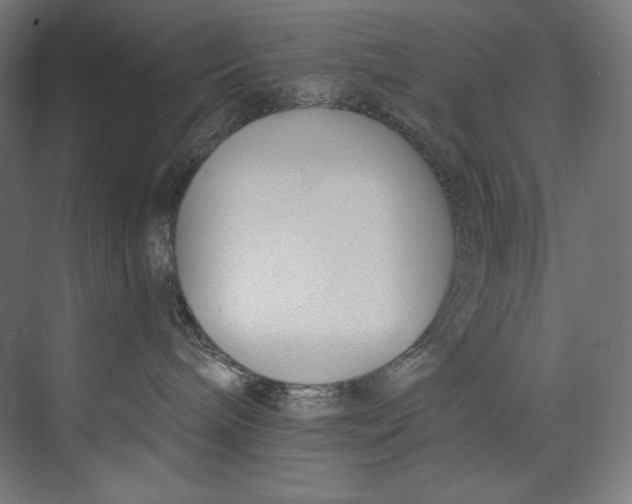 X0000073710240200608241451