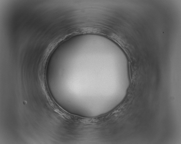 X0000073710241200608241450