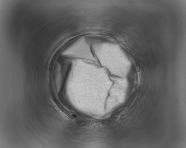 X0000073710243200608241450