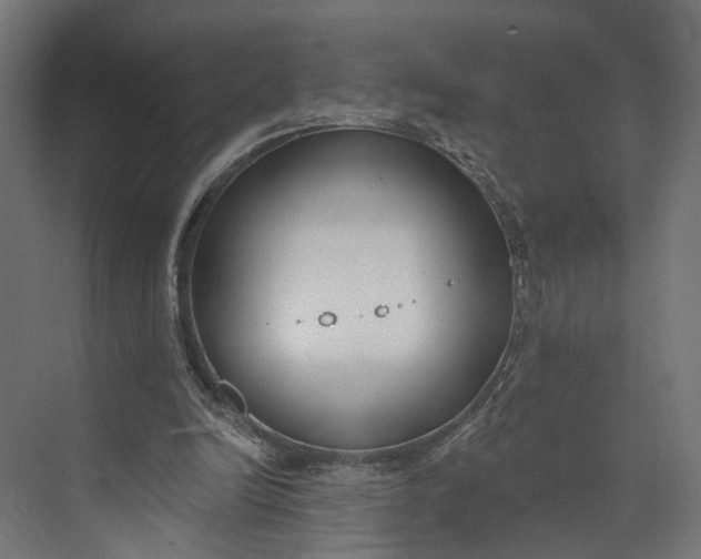 X0000073710246200608241450