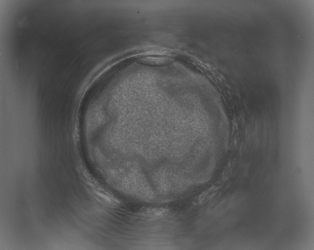 X0000073710247200608241450