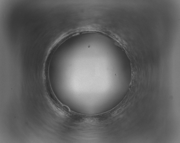 X0000073710248200608241450