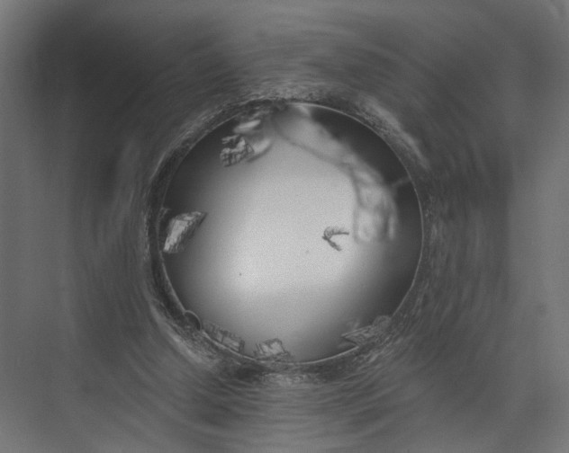 X0000073710250200608241450