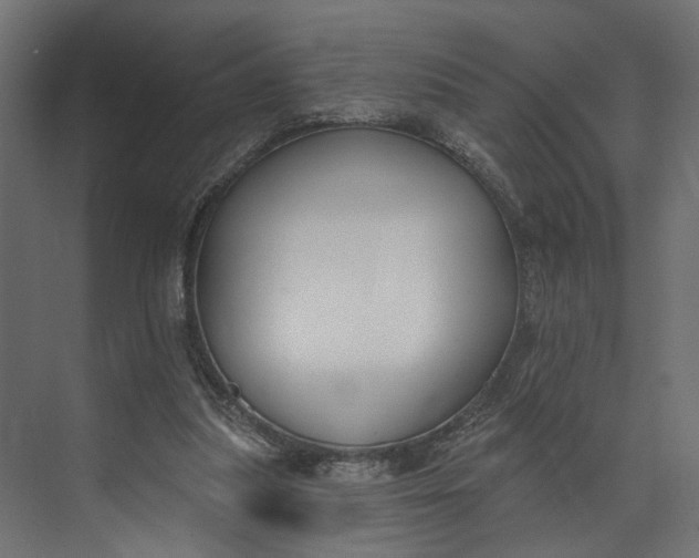 X0000073710251200608241450