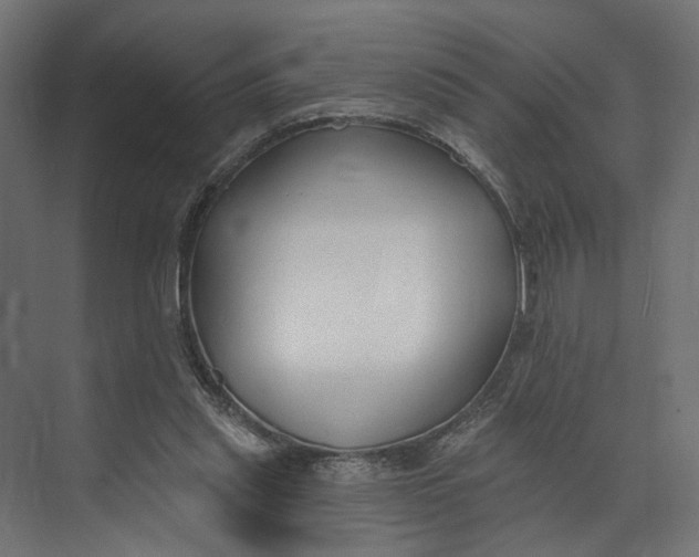 X0000073710253200608241450