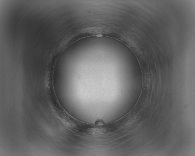 X0000073710255200608241450