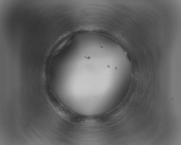 X0000073710256200608241450