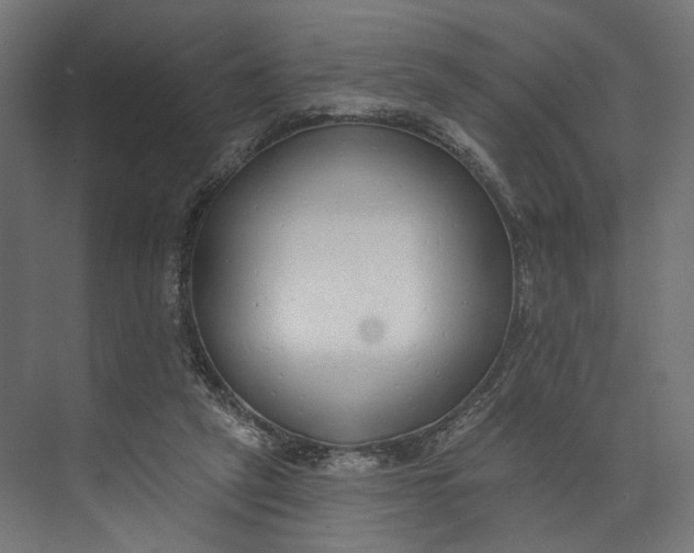 X0000073710257200608241450