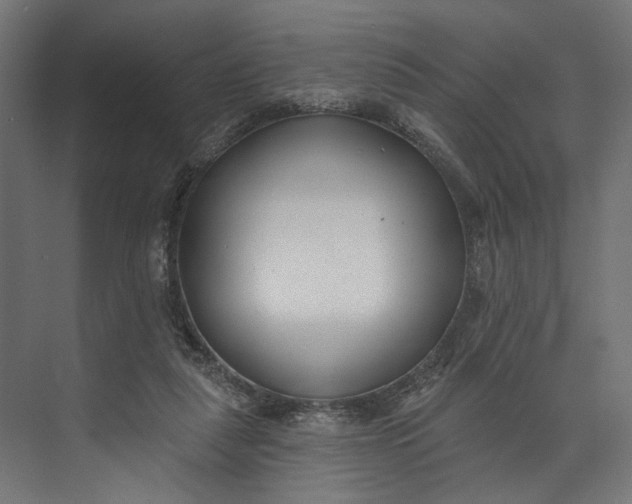 X0000073710259200608241450