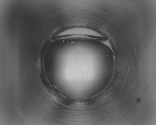 X0000073710260200608241450