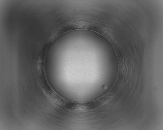 X0000073710263200608241450