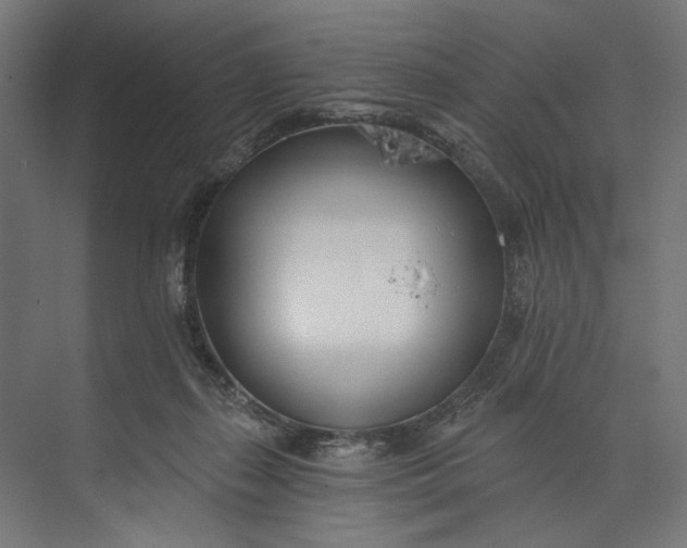 X0000073710267200608241450