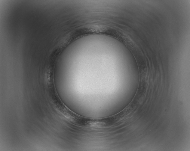 X0000073710268200608241451