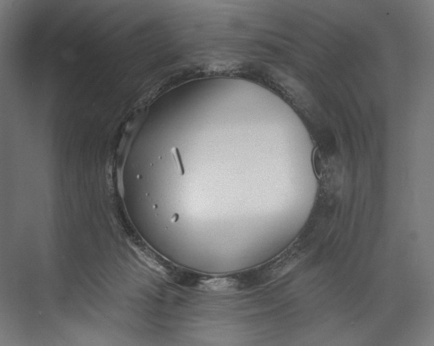 X0000073710269200608241451