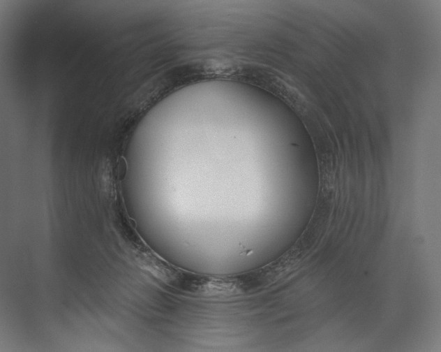 X0000073710270200608241451