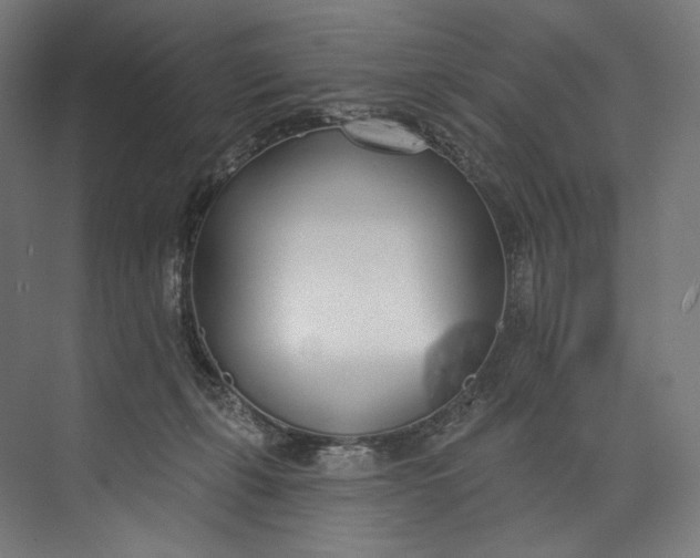 X0000073710271200608241451