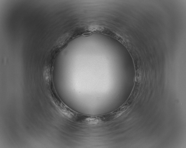 X0000073710272200608241451