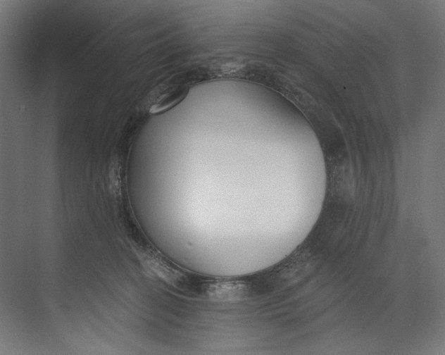 X0000073710274200608241451