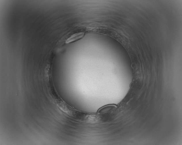 X0000073710275200608241451