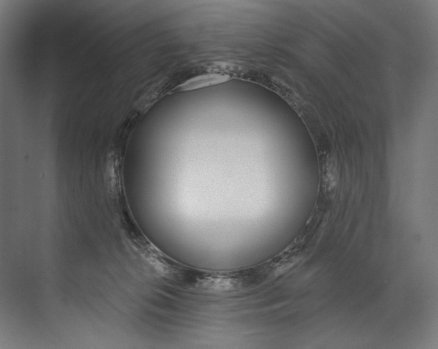 X0000073710276200608241451