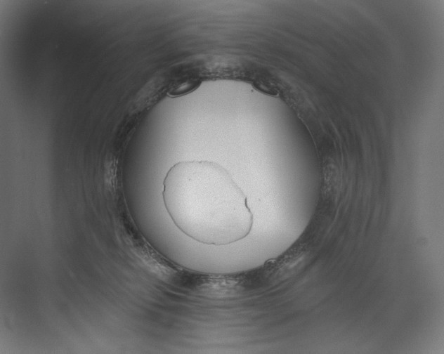 X0000073710278200608241451