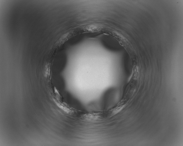 X0000073710284200608241451