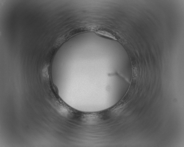 X0000073710286200608241451