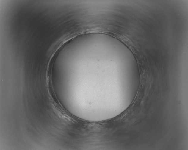 X0000073710290200608241450